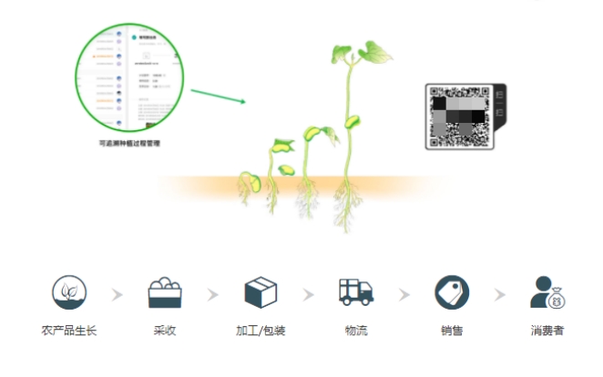 �ǻ�ũҵ�������